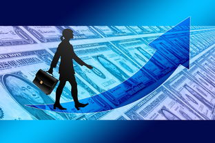 女子赛事门票收入创新高，商业赞助进一步跟进，女子锦标赛